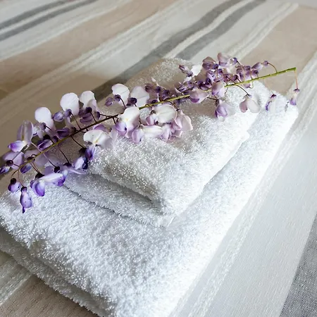 Odeon * Барбати